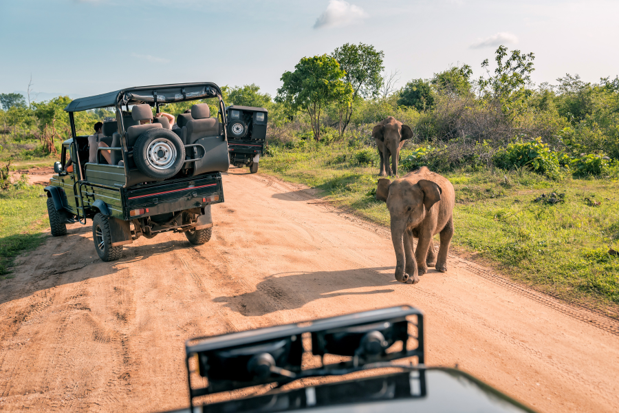 CÔNG TY TNHH HERMIT ASIA